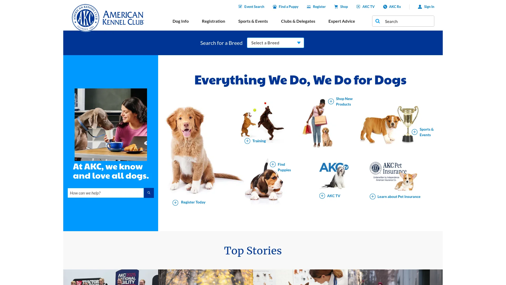 American Kennel Club