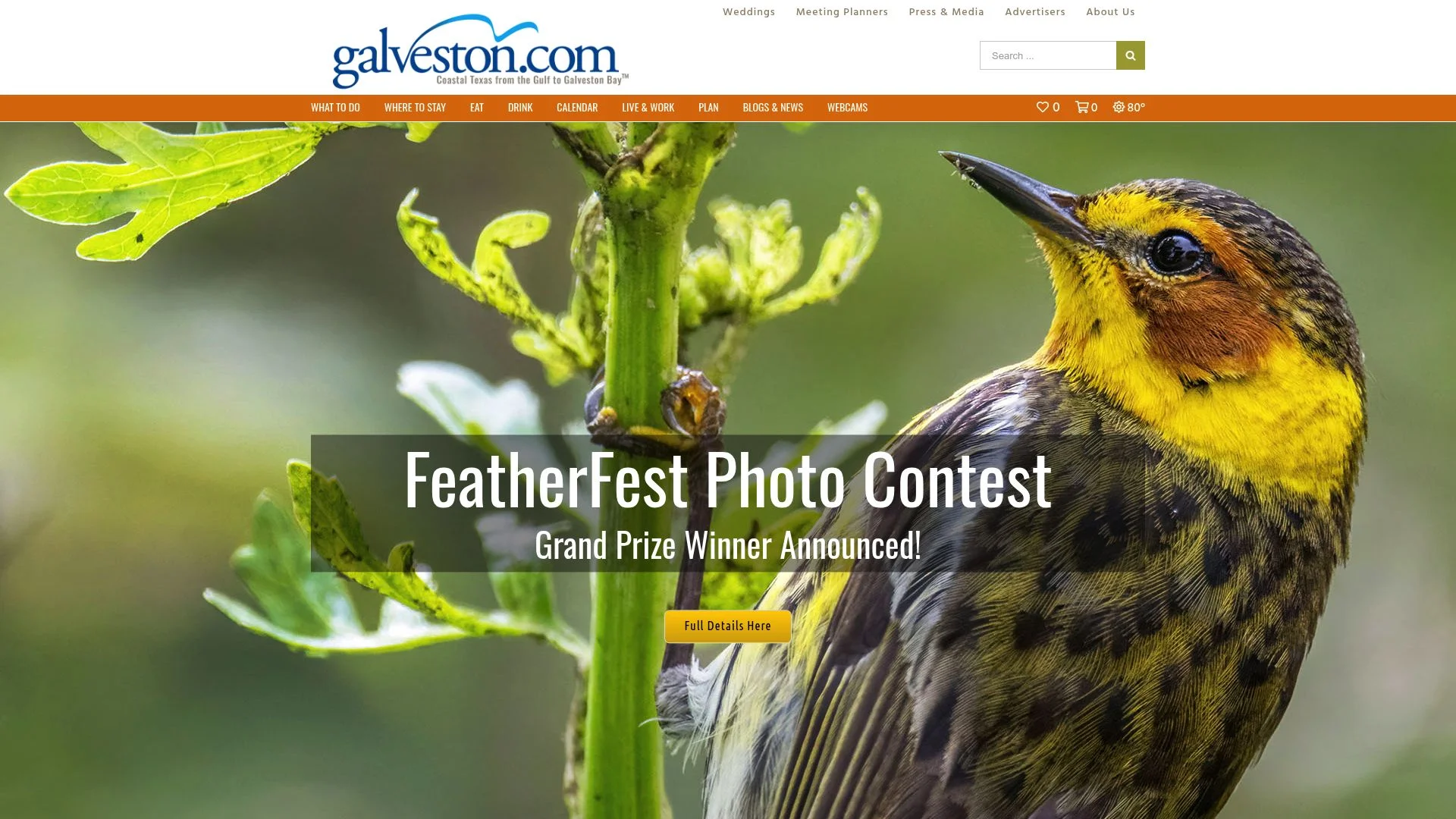 Galveston.com